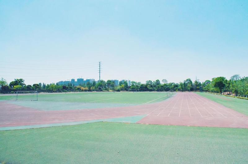 运动场.jpg